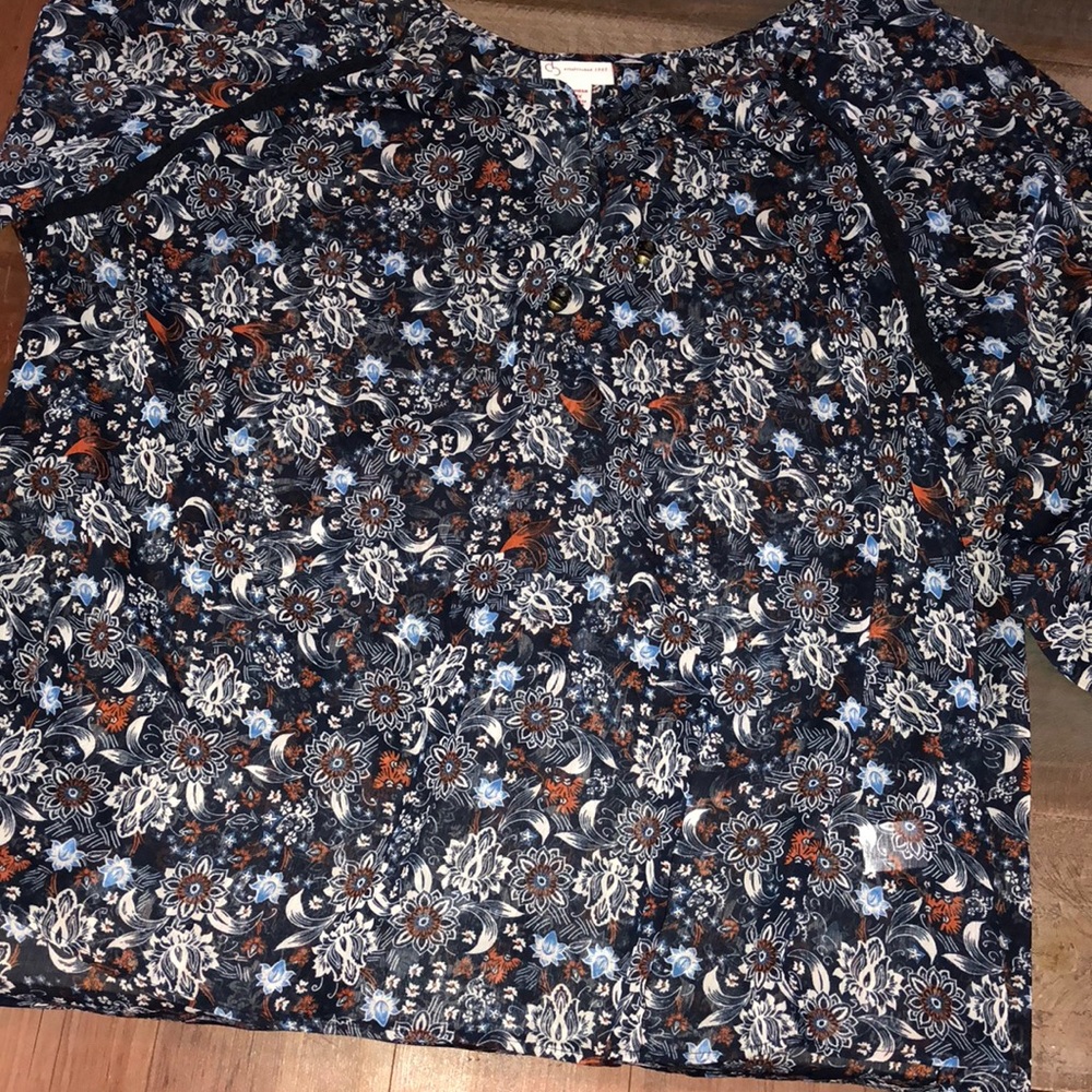 Sheer 3x blouse